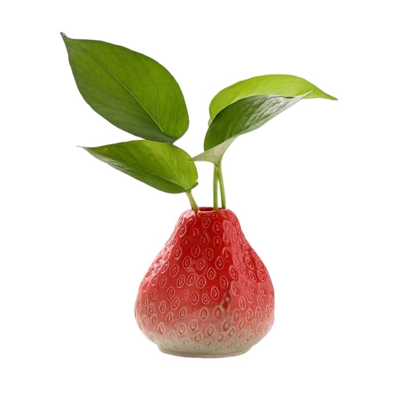 Fruit Vases Creative Strawberry Ceramic Hydroponic Vase Desktop Green Dill Cute Home Decoration Ornament