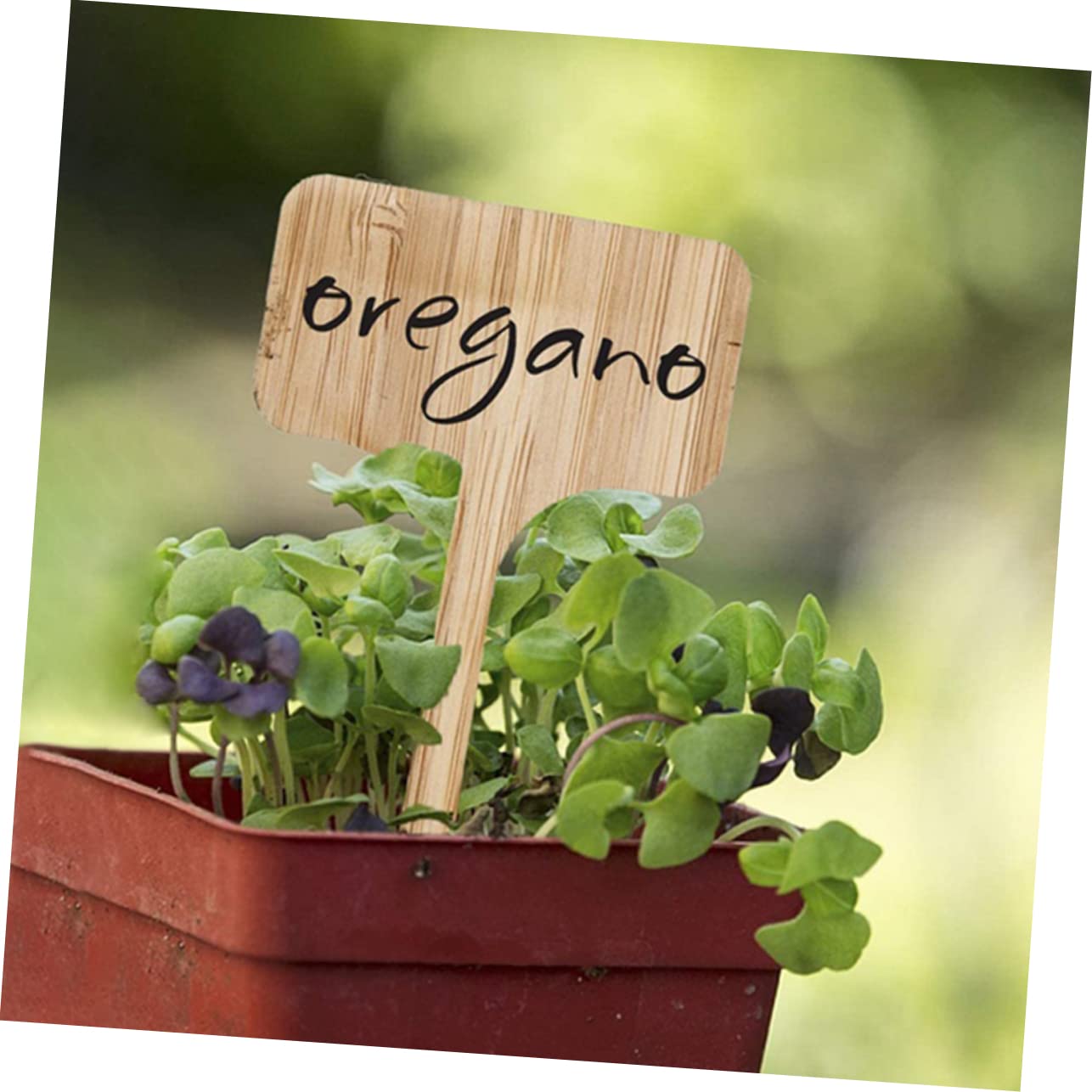 PRETYZOOM 5 Sets T-förmige Pflanzenmarkierungen Aus Holz Gartenetiketten Pflanzenschilder Pflanzenmarkierungen Für Topfpflanzen Einfach Zu Verwenden Dekorativ 30 Stück * 5