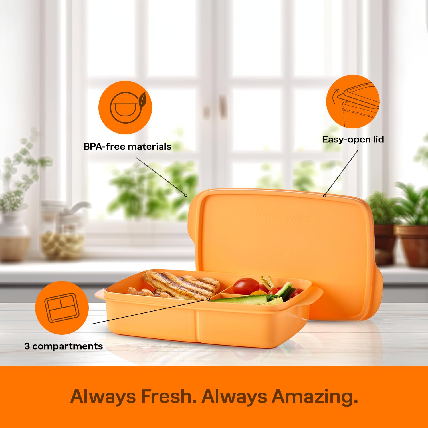 Amazon | Tupperware Lunch-It Portion & Go Lunch Box - Dishwasher