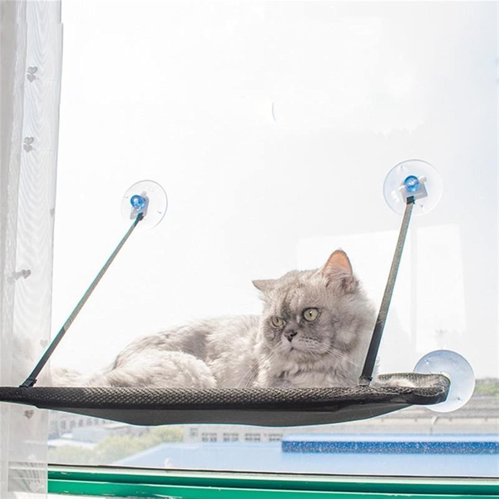 Hamaca de Gato Hamaca de la Ventana del Gato, la Perca de la Ventana del Gato, la Cama de la Ventana del Gato se Mantiene hasta 55 Libras Hamaca para Mascotas