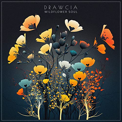 Drawcia