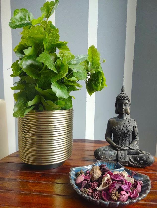 Rolli Elegant Ribbed Planter with a Stunning EPL Brass Finish, Expertly