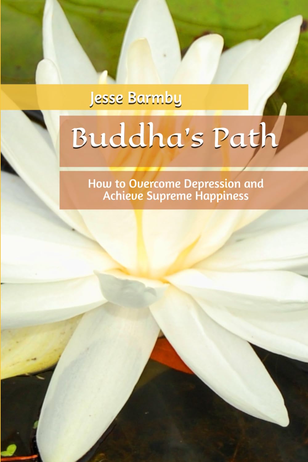 Buddha's Path: How to Overcome Depression and Achieve Supreme Happiness