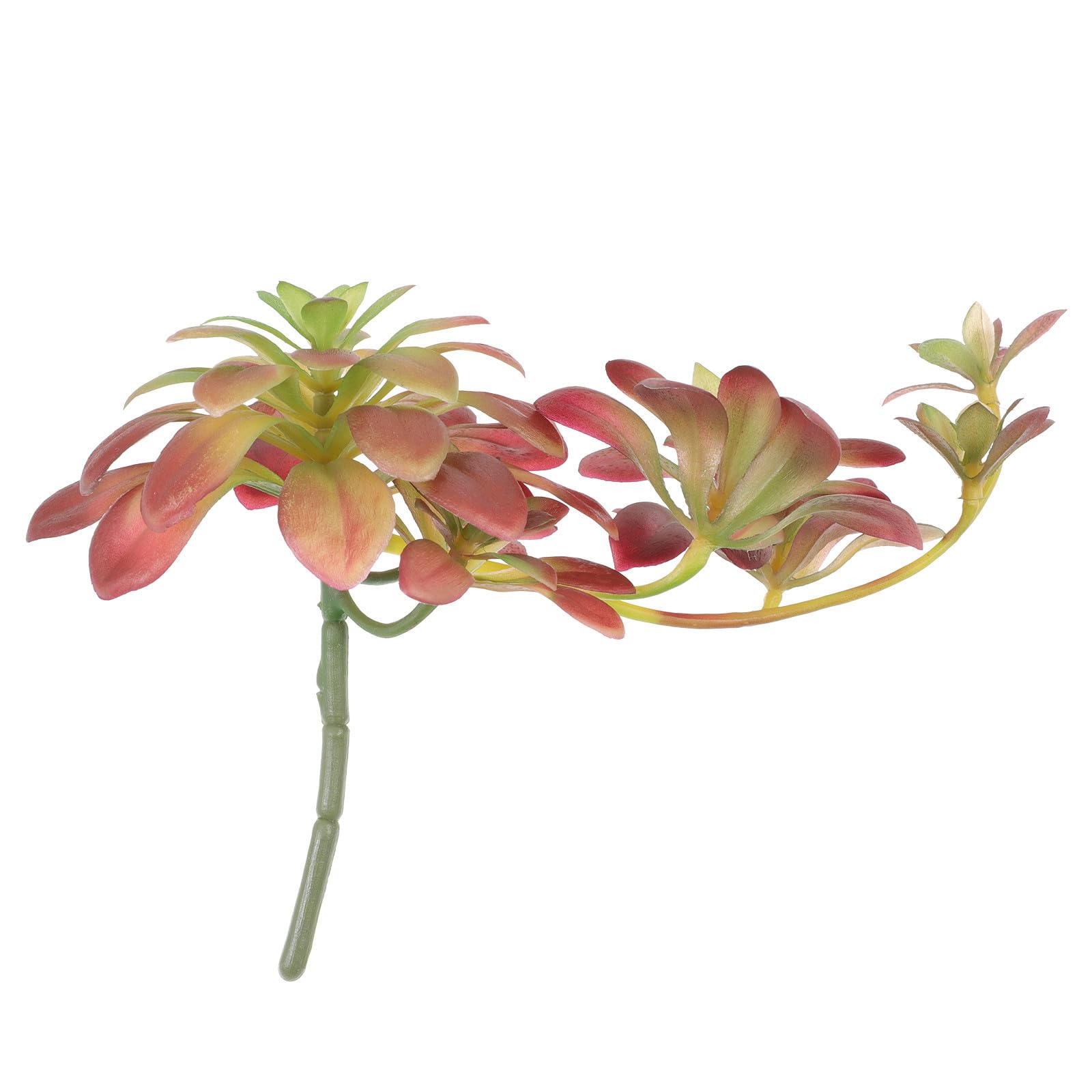 Plante Artificielle Succulente Réaliste 27cm en Rotin Marron