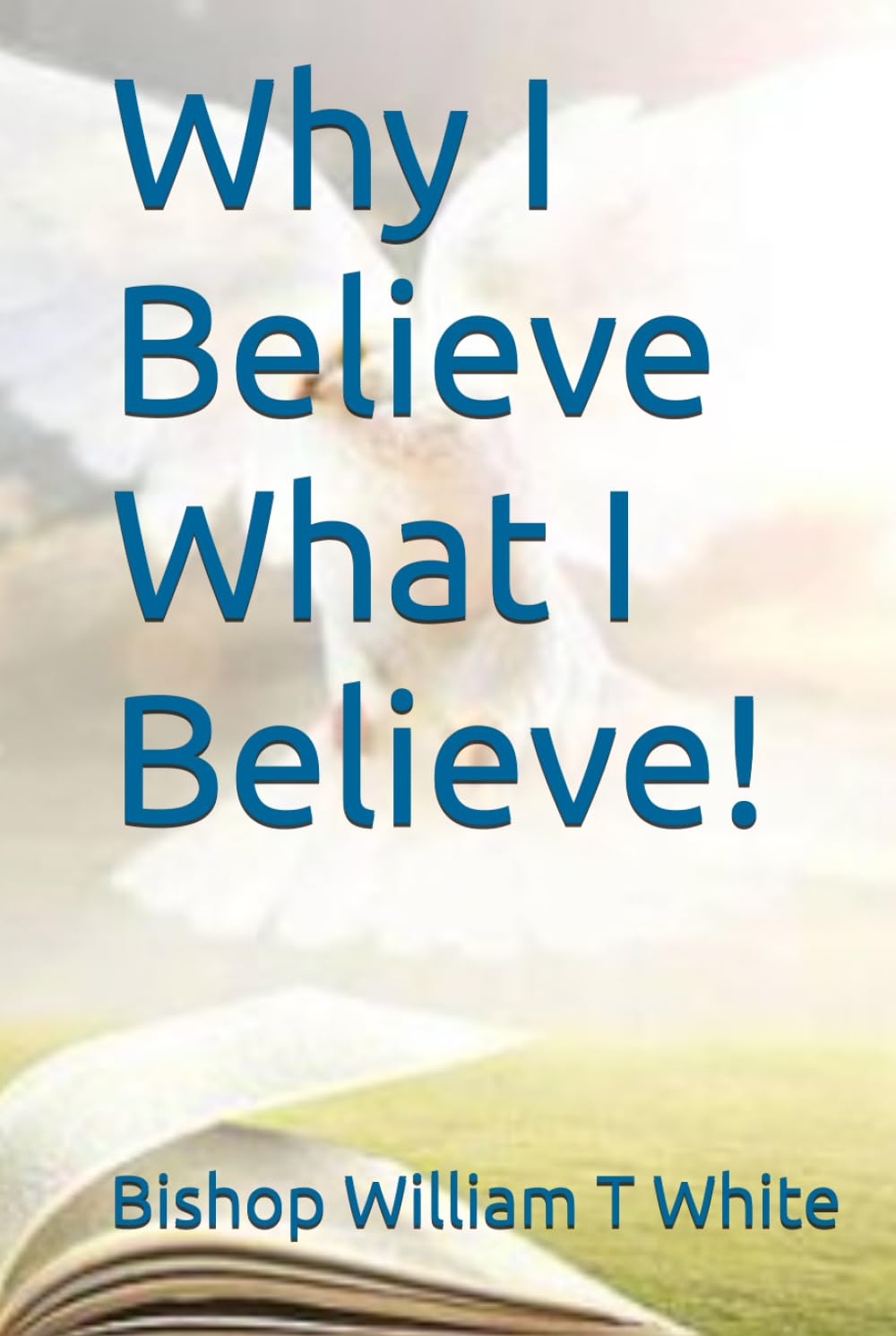 Why I Believe What I Believe!