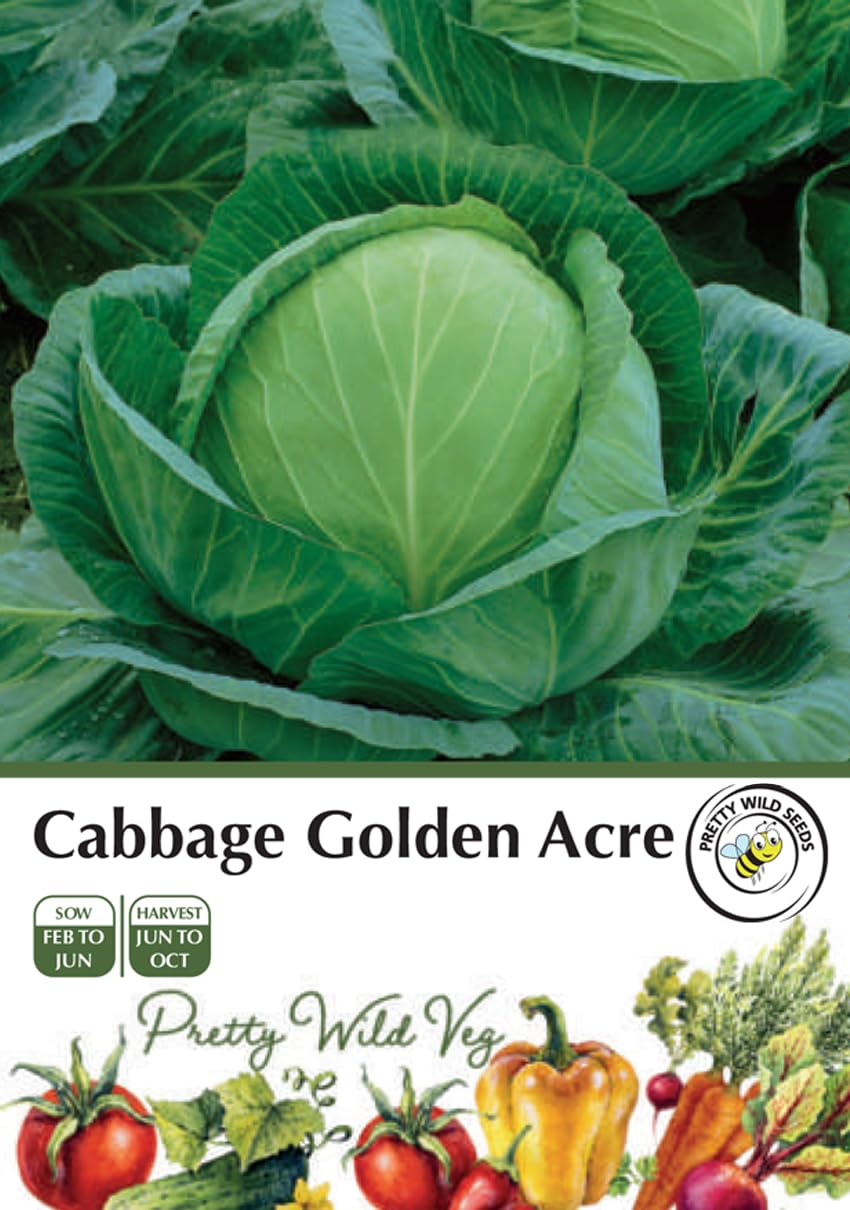 Cucumber Cucamelon Seeds in Pictorial Packet from a UK Seller Cute Fruits with Unique Crunch & Flavour — view 53