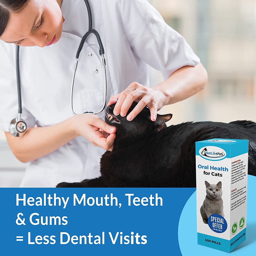 Oral Health for Cats and Dental Care Supplement All Natural Anti