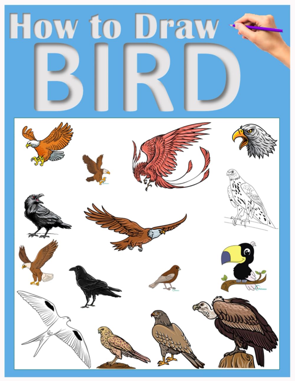 How to Draw Birds for Kids: The Ultimate Step-by-Step Guide to Drawing Eagles, Parrots, Owls, and More, Fun Nature Activity Book for Boys and Girls Ages 8-12