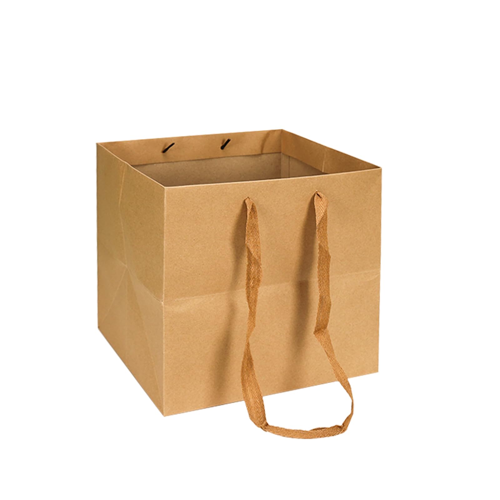 Aosric Paper Bags,Gift Bags with Handles,12 Pack,Brown