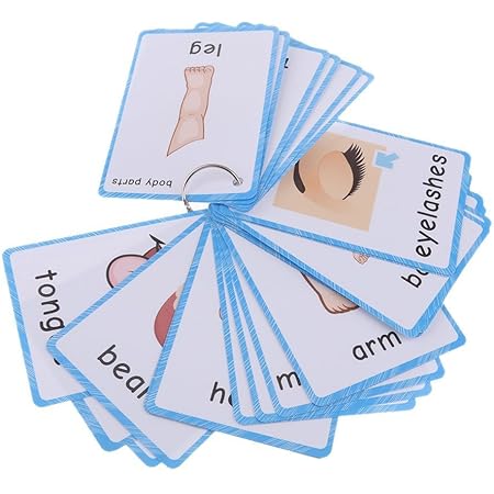 Sancent 36 Pz Parti Del Corpo Flashcards Carte Linguaggio Inglese Per Bambini E Adulti Kids Learning Pocket Cards Giocattoli Educativi Inglesi Giochi Educativi Autismo Amazon It Giochi E Giocattoli