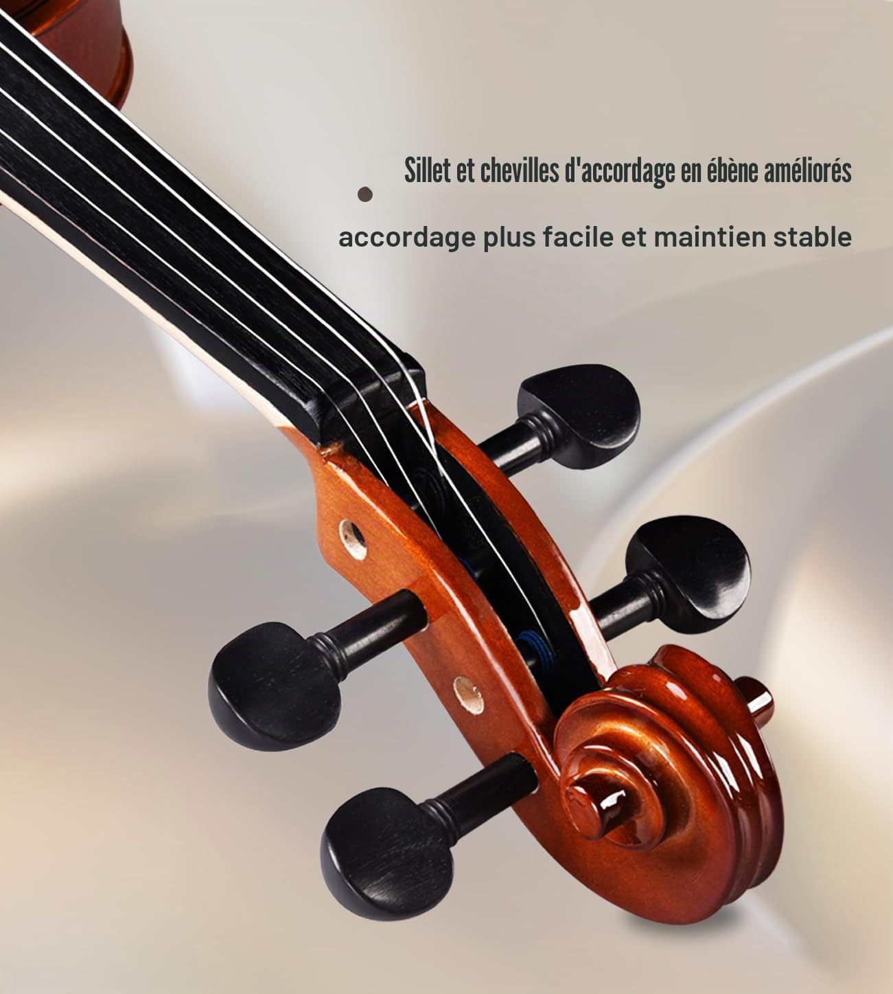 Violon 4/4 Adulte Aileen, Violon Débutant Aspect Antique Brillant