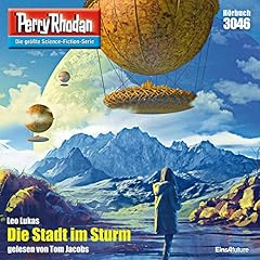 Die Stadt im Sturm Titelbild