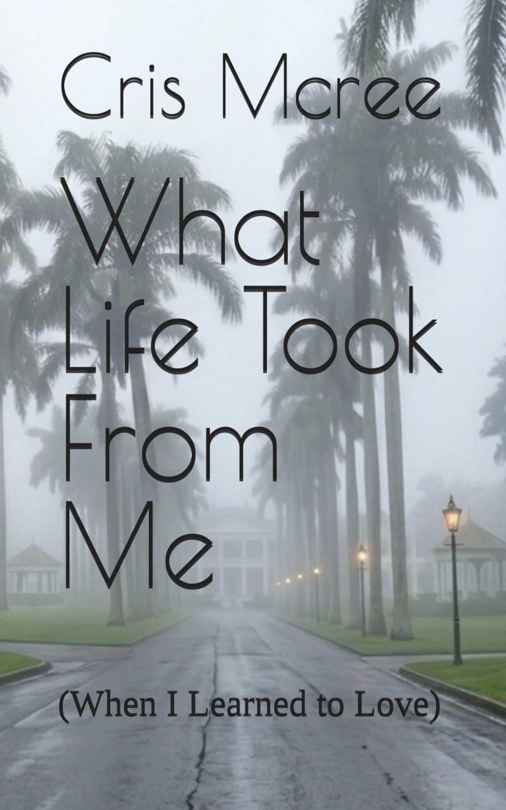 What Life Took From Me: (When I Learned to Love)