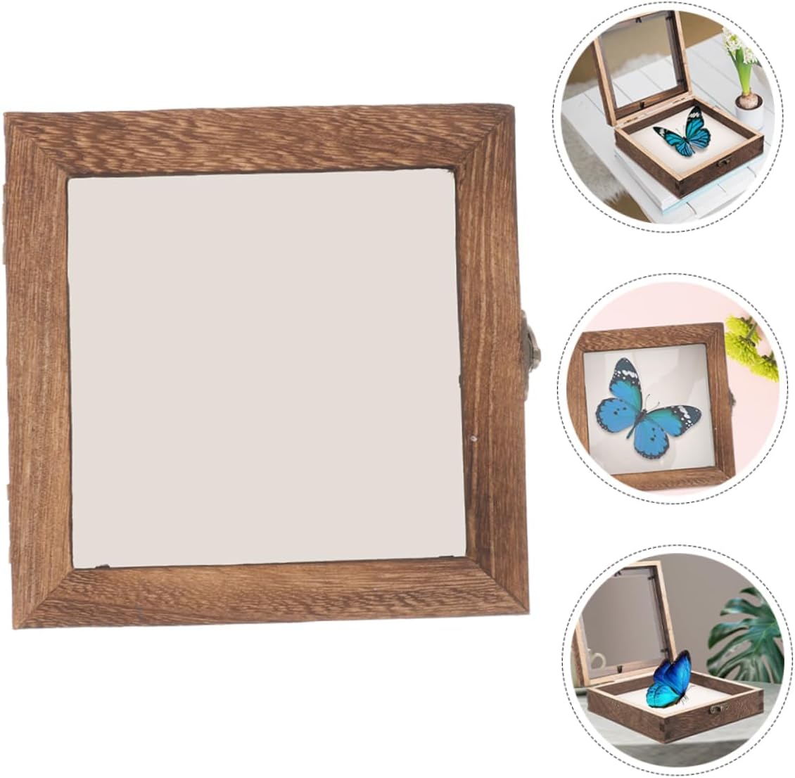 MAGICLULU Butterfly Display Case Flower Specimen Frame Bug Container Long Shadow Box Collectibles Box