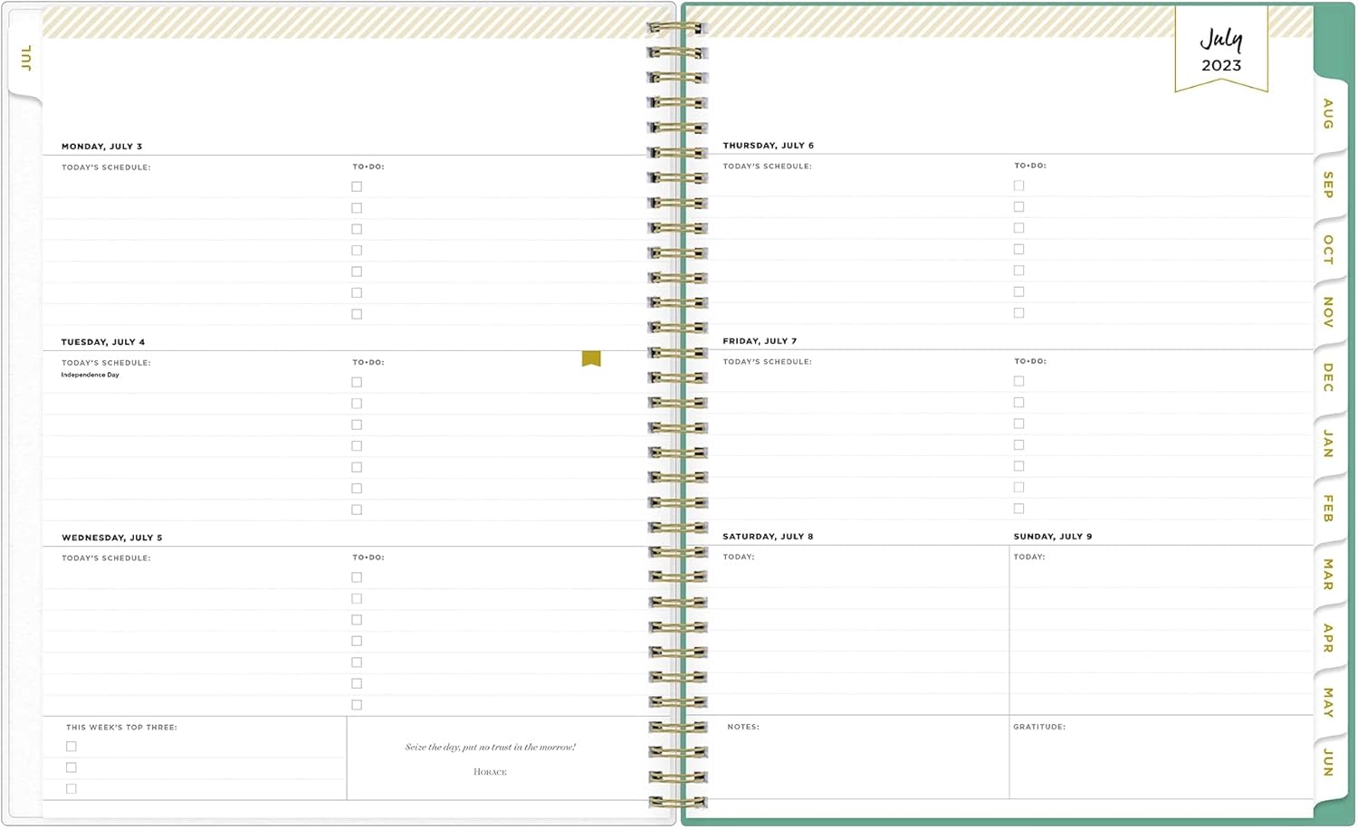 Blue Sky Day Designer for 2023-2024 Academic Year Weekly and Monthly Planner, 8.5' x 11', Frosted Flexible Cover, Wirebound, Palms (137891-A24)