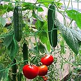 🍅【AMPLIAMENTE UTILIZADO】- La red de guisantes no tiene bordes afilados, no tiene olor irritante, no es tóxica, es segura para la vida silvestre y su familia. La red de enrejado es muy adecuada para apoyar el crecimiento de tracción de frijoles, pepinos, tomates, pimientos, bayas, flores y otras plantas de vid. Si no está 100% satisfecho con la red para trepar plantas, comuníquese con nosotros de inmediato.