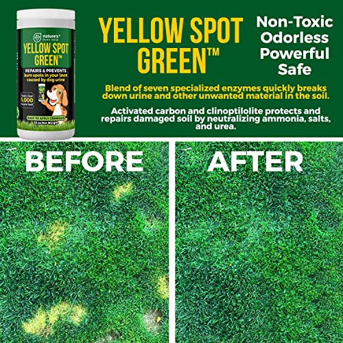 Yellow Spot Green™ Cures Urine Burns And Prevents Yellow Spots In Your Yard. Dog Urine Neutralizer For Lawns. Repair And Protect Grass From Dog Pee. Easy To Use Granules. Large 32 Ounce. #TOP3