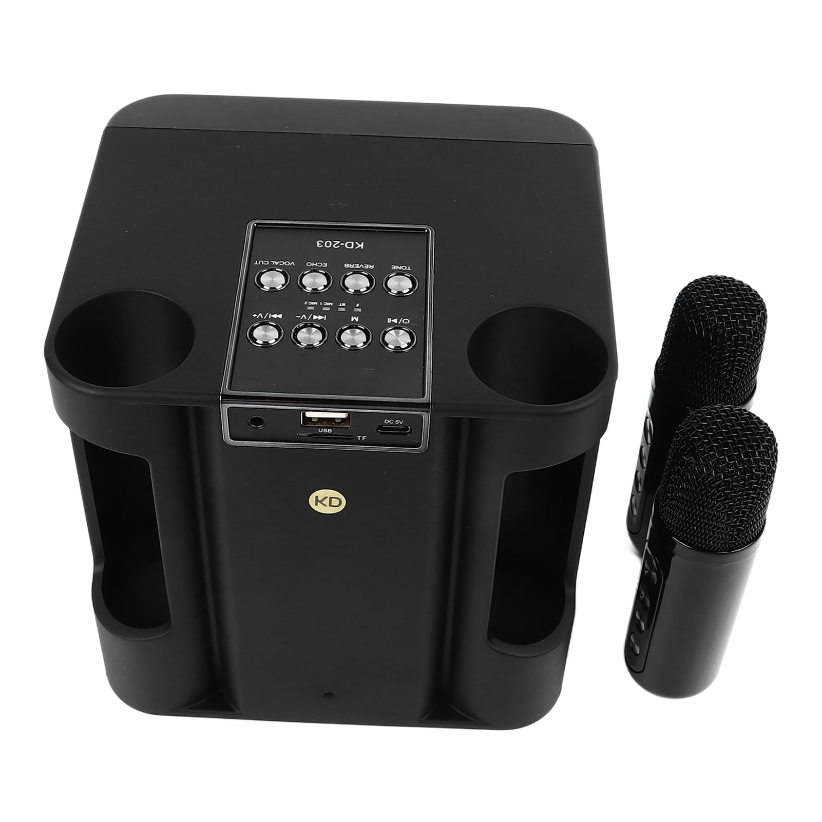 Piccolo Apparecchio per Karaoke Portatile con Bluetooth, Audio Premium per Feste in Casa, Include 2 Microfoni