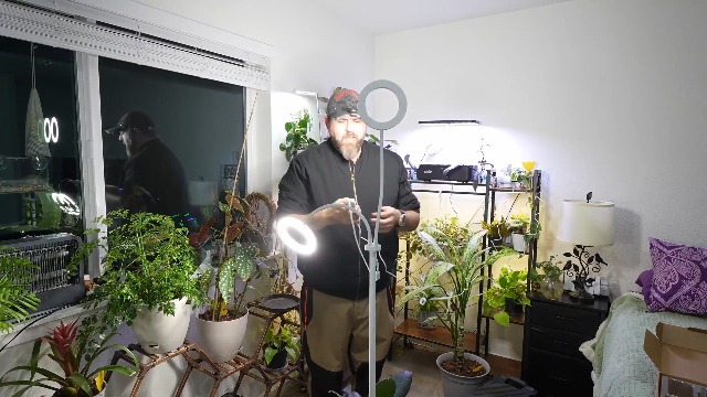 Image of GLOWRIUM Grow Lights for Indoor Plants,Full Spectrum Plant Light with Stand