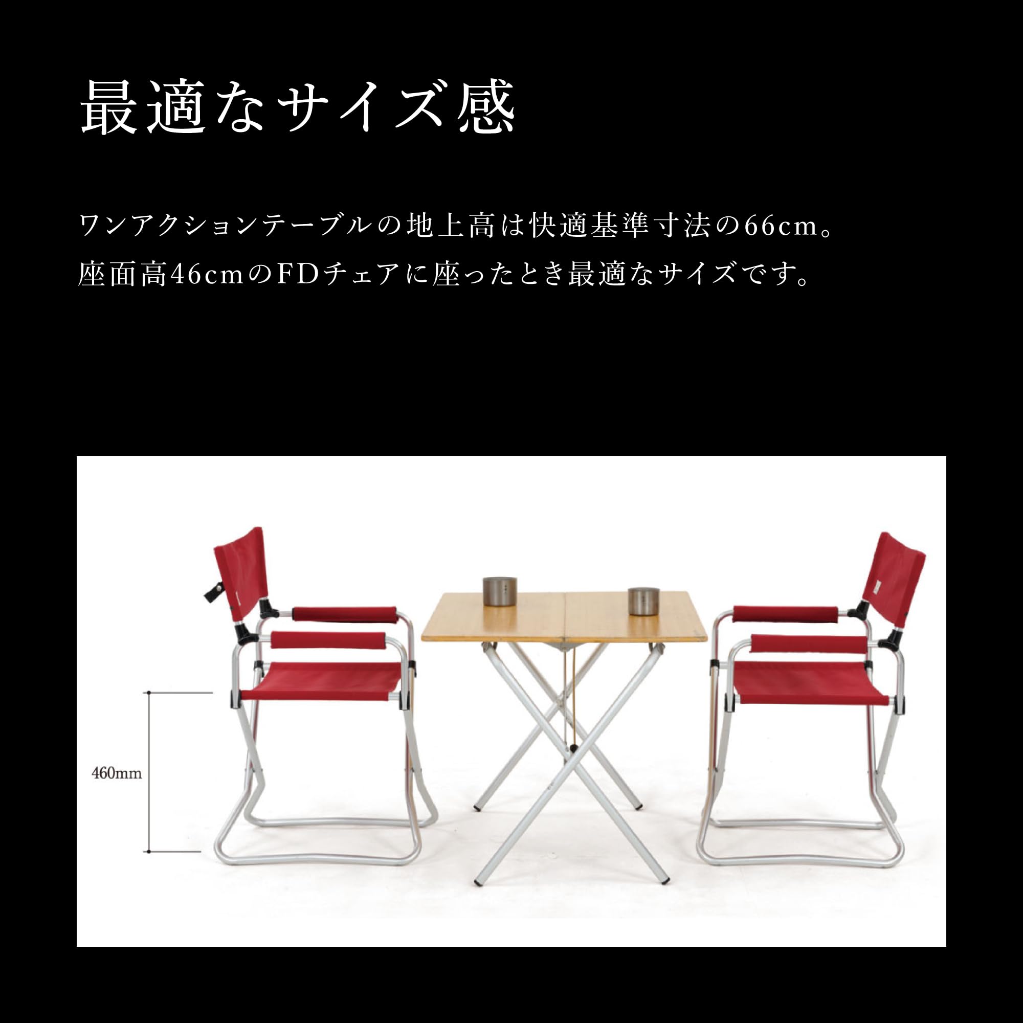 Amazon.co.jp: スノーピーク(snow peak)【ステッカー付】 FDチェア