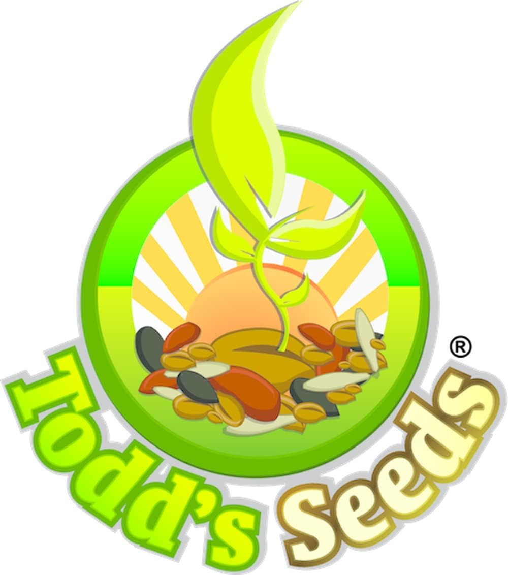 Todd's Seeds Hard Red Wheatgrass - 10 Lb's - Plant & Grow Wheatgrass, Flour, Grain & Bread - Wheatgrass Juice - Sprouting Seeds