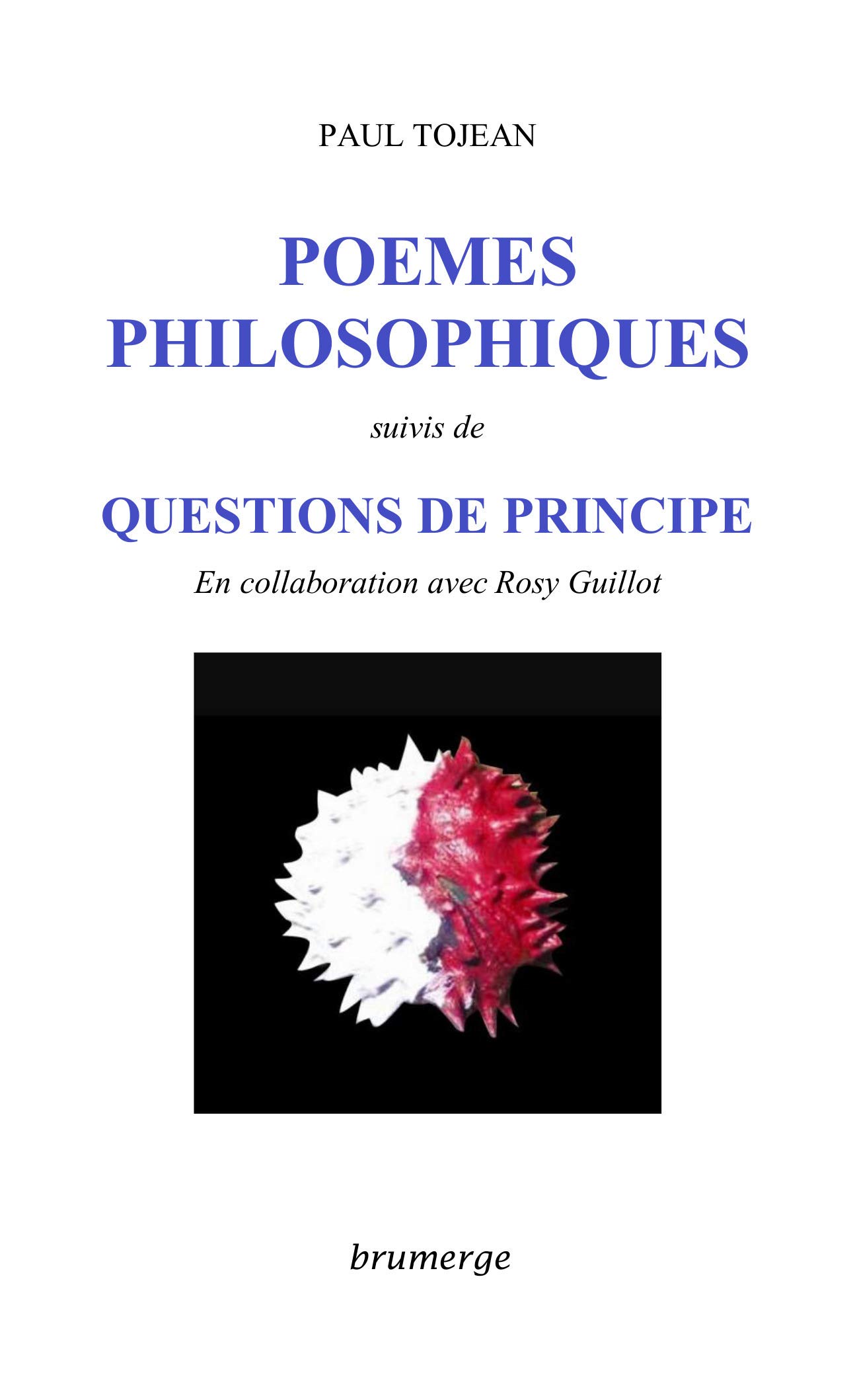 Poèmes philosophiques suivis de Questions de principe (French Edition)