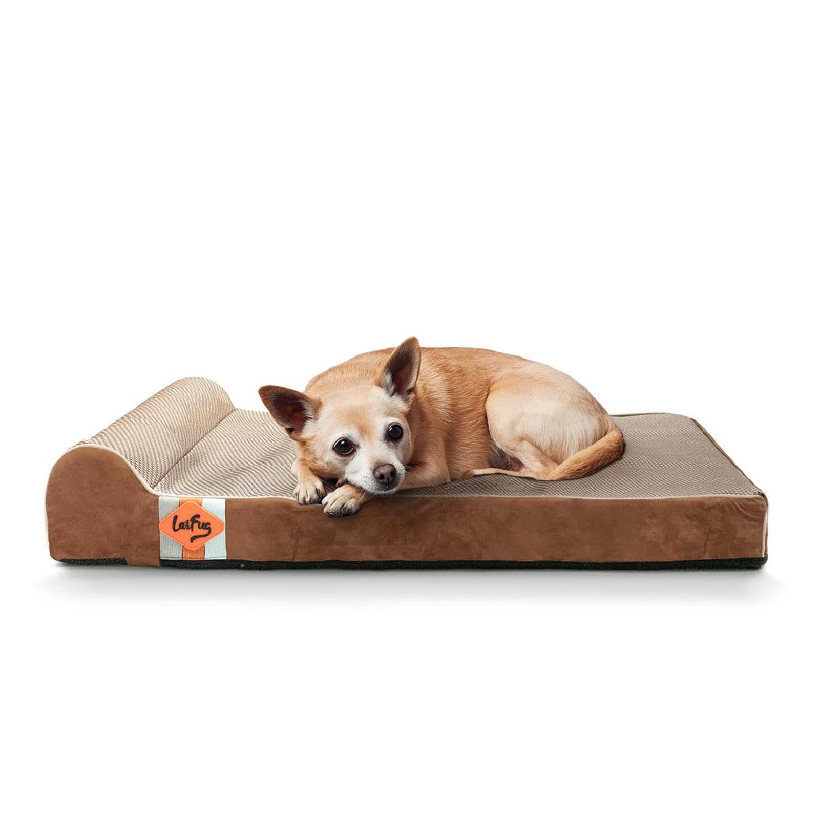 Laifug Orthopedic Dog Beds for Large Dogs,3" Memory Foam Dog Beds,Durable Water Proof Liner Removable and Washable, Nonskid Bottom, Brown 34"x22"x5.5"