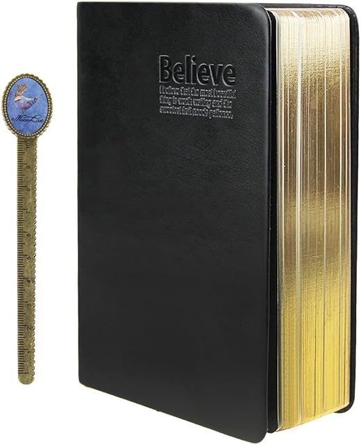 LY Soft Faux Leather Thick 480 Pages Blank Notebook Daily Bible Study Notebook Diaries Well Bound Drawing Sketchbook Scriptbook Life Records (B6, Between A5 and A6) with Free Bookmarker