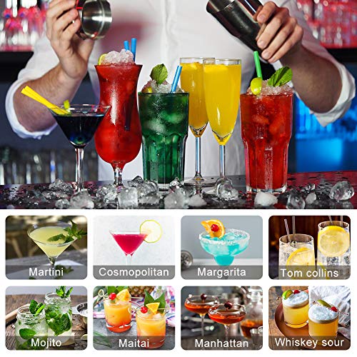 Surmounty Cocktail Set 15 Teiliges Bar Set, Drink Shaker Set Edelstahl Bar Zubehör, Barkeeper-Kit inkl. 750ml Cobbler… - Image 6