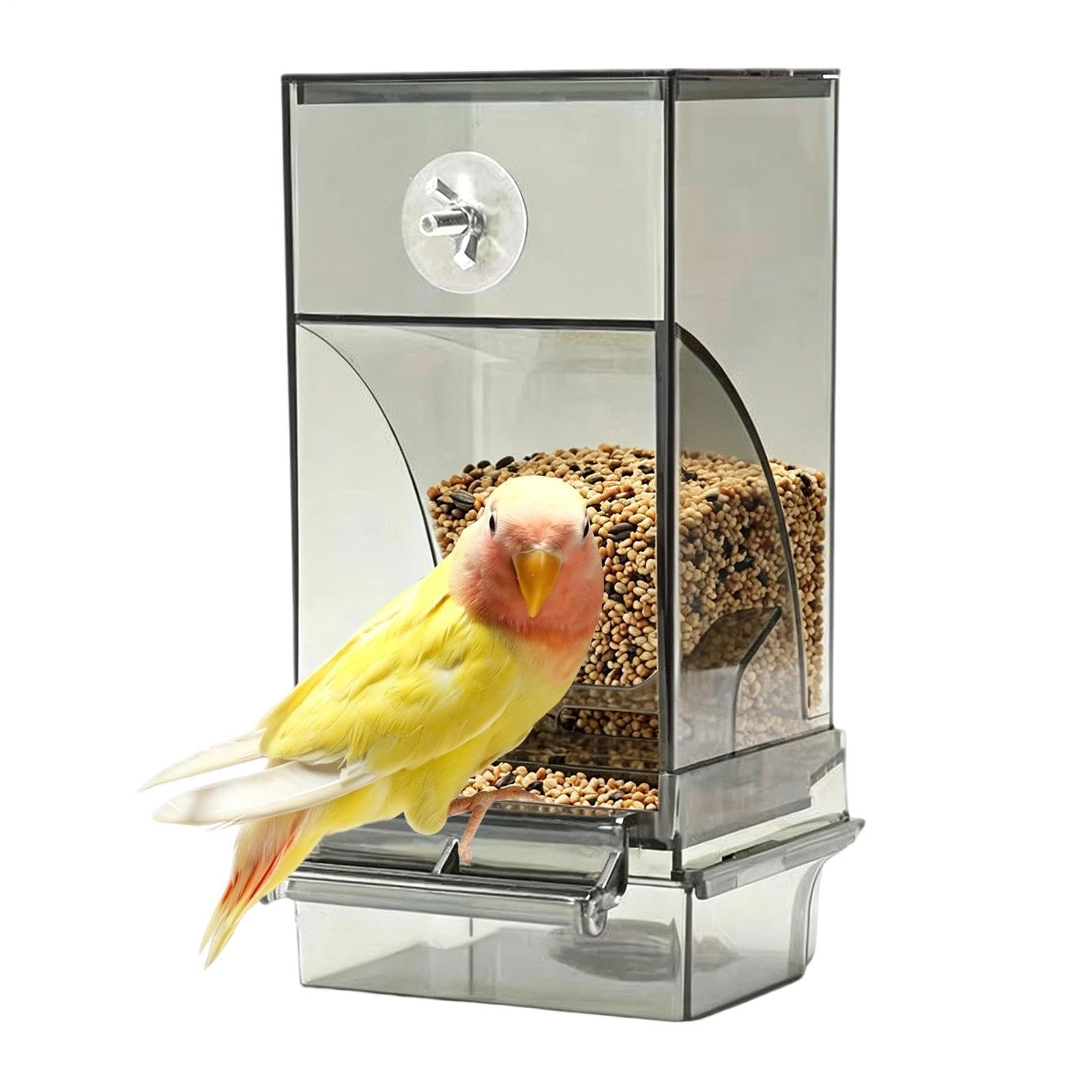 Conteneur automatique pour oiseaux avec cintre pour volière et jardin