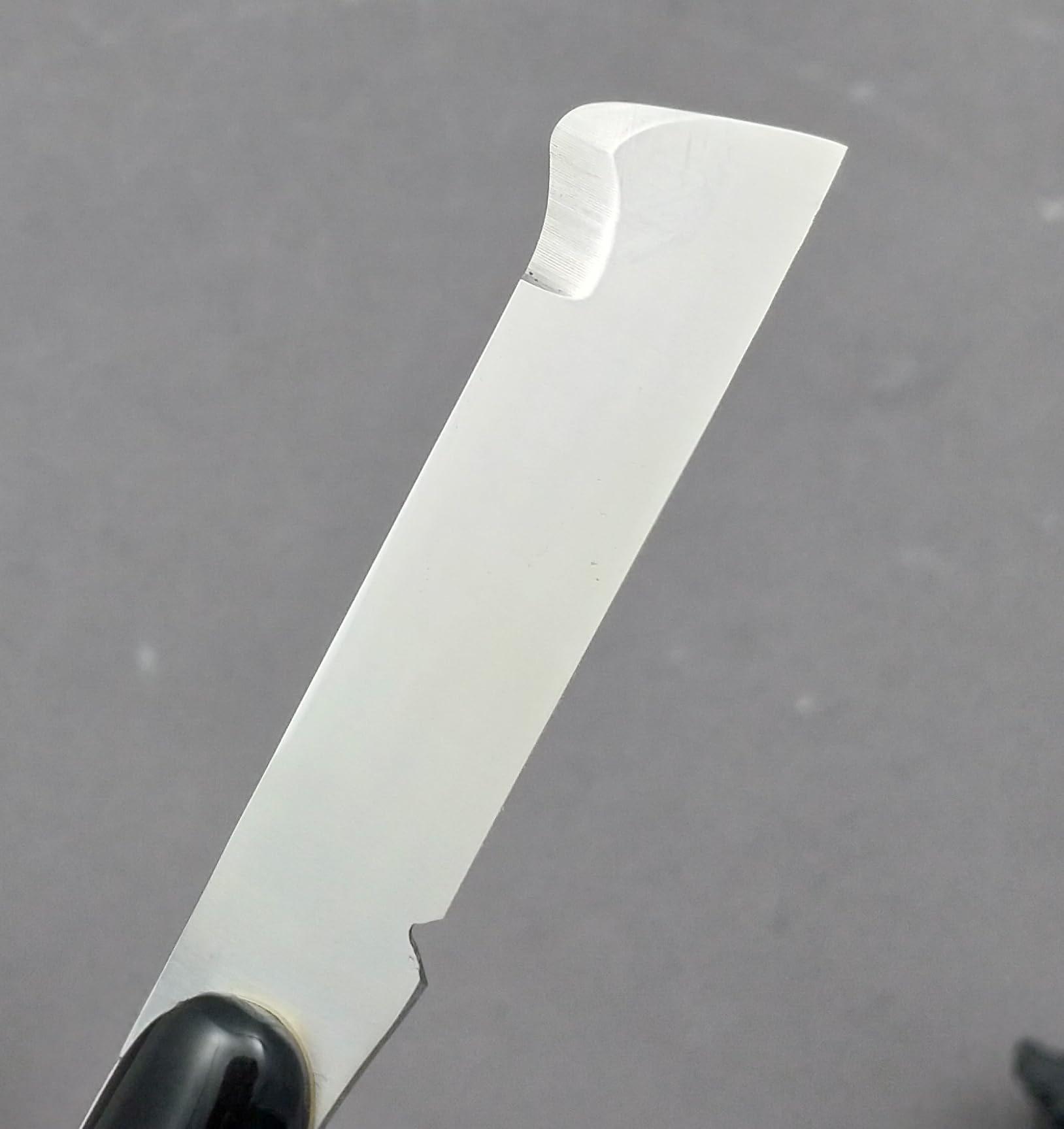 DUE BUOI 200AP Coltello da Innesto Professionale Alberi da Frutto e Giardinaggio Lama in Acciaio ad Alto tenore di Carbonio