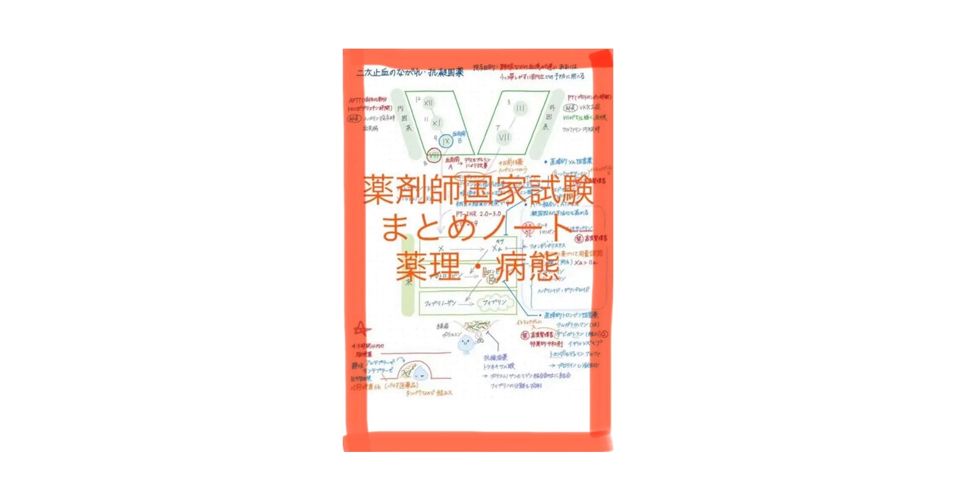 薬剤師国家試験対策 まとめノート 全科目セット 薬学部 薬学まとめノート 全科目セット 薬剤師国家試験 薬学部