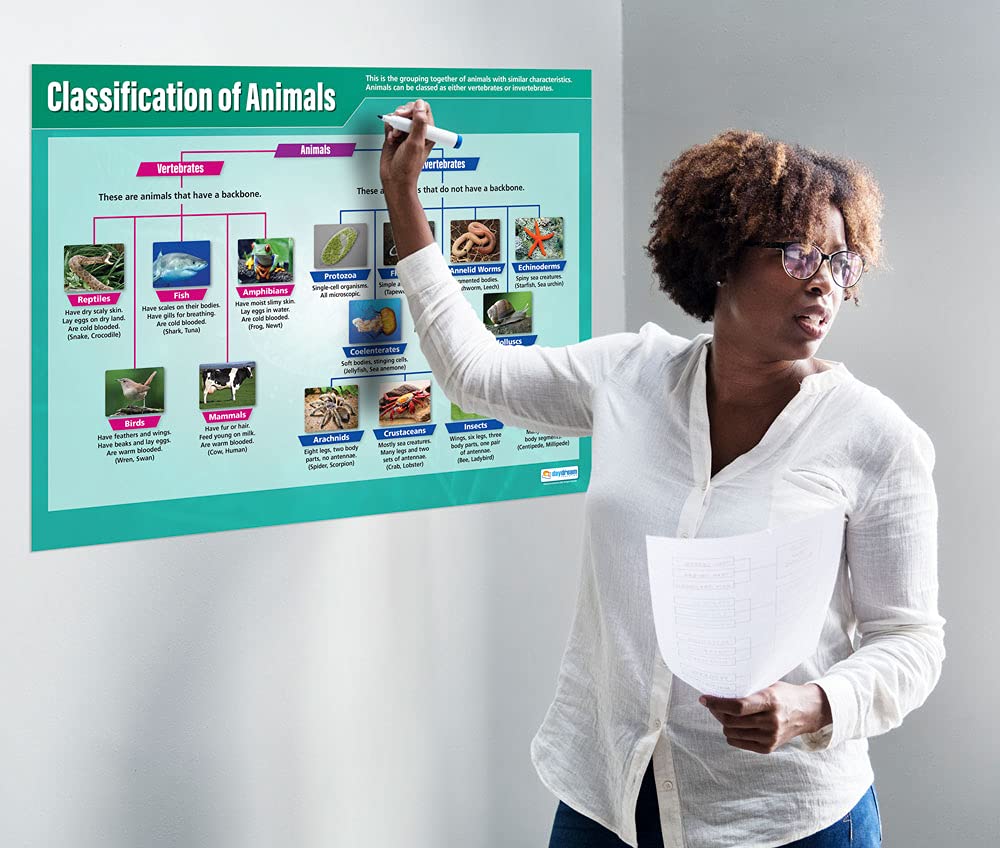 Buy Classification of Animals | Science Posters | Gloss Paper measuring ...