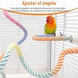 Ver la foto 3