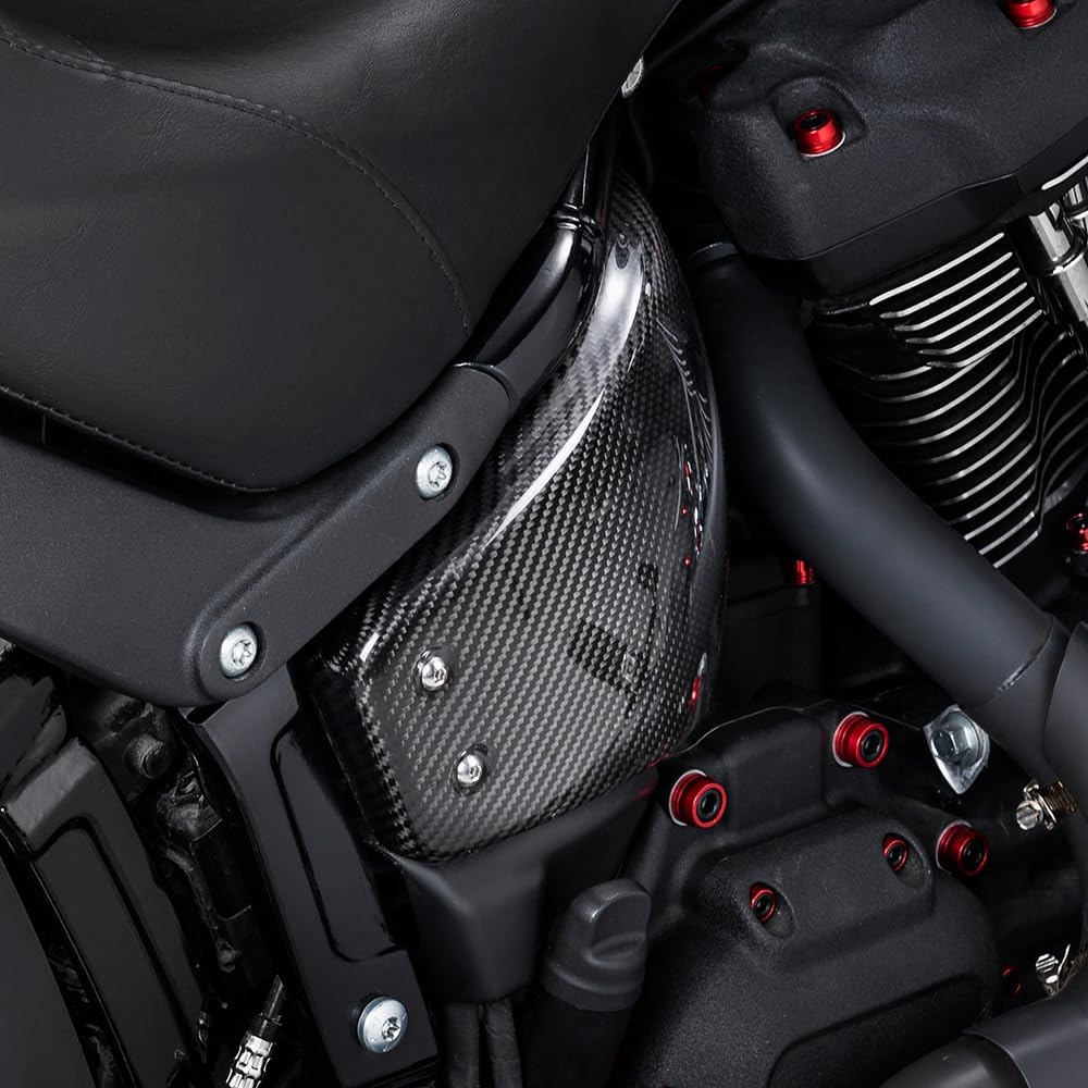 Advanblack Motorcycle Battery Side Fairing Covers Carbon Fiber Side Battery Covers for M8 Harley Softail 2018-2024 Harley LowRider S Low Rider S LowRider ST FXLRS FXLRST FXRST (Black)