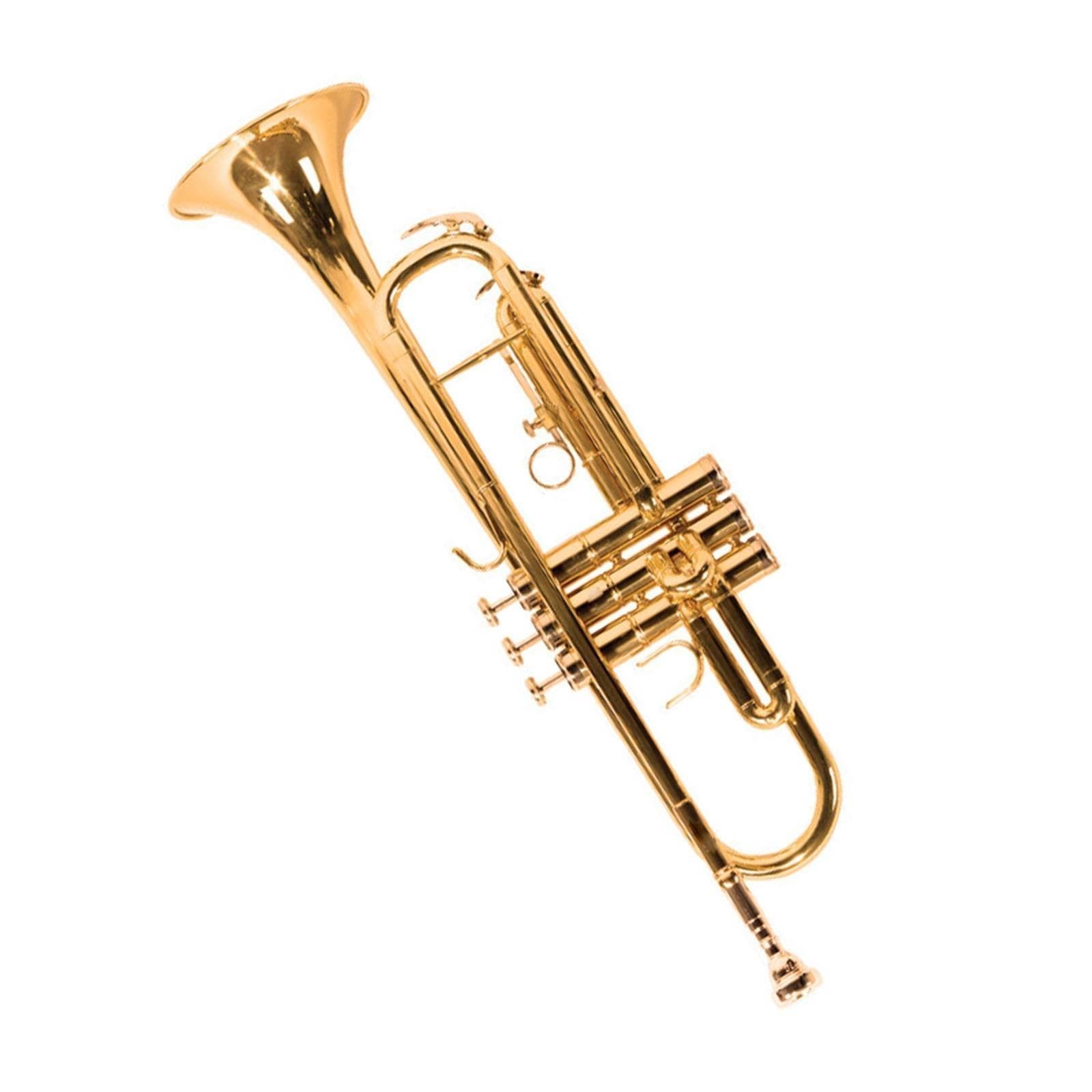 Adult Trumpet Trompette professionnelle en si bémol