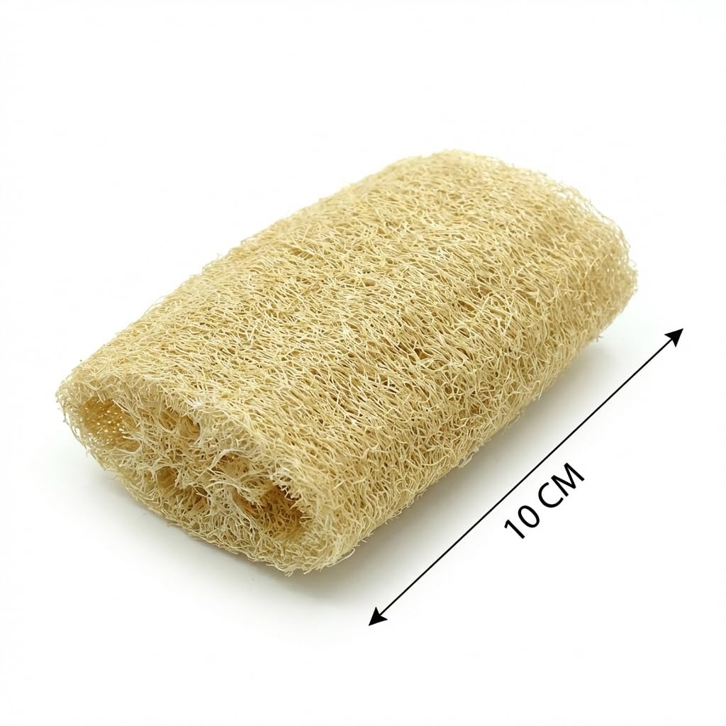 Anatolia Soap Doğal Kabak Bulaşık Süngeri 10 cm Doğal Lifler Anti-Bakteriyel 1 Adet