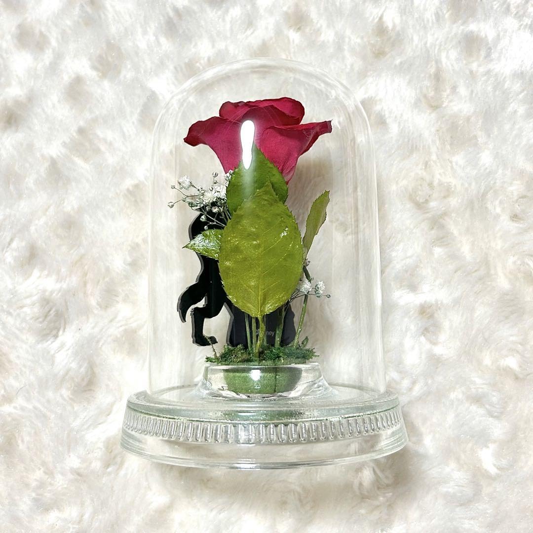 美女と野獣　プリザーブドフラワー　非売品　薔薇 Amazon.co.jp: 日比谷花壇 薔薇 プリザーブドフラワー 美女と