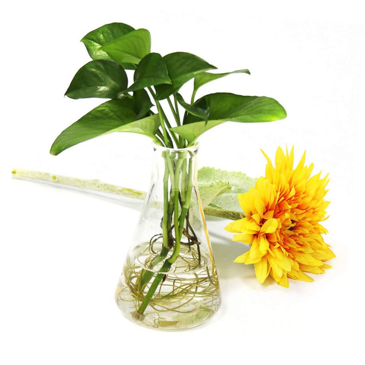 CLISPEED Set 5 Pezzi Beuta Conica in Vetro Borosilicato Collo Largo, Fondo Piatto e Marcatura Extra-large, Resistente a Cambi di Temperatura per Ricerca e Istruzione