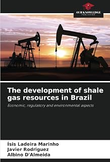 The development of shale gas resources in Brazil: Economic, regulatory and environmental aspects