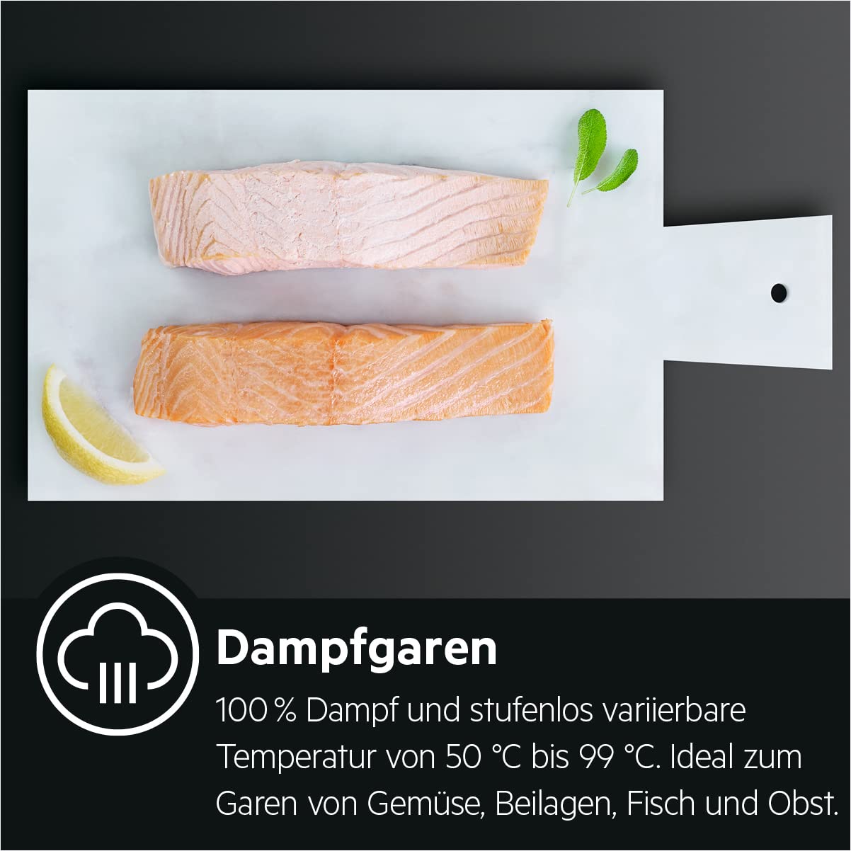 AEG BSE78228BM Four à vapeur/série 8000 cuisson vapeur : 100% vapeur avec assistant automatique/écran couleur TFT Full Touch/nettoyage à la vapeur/capteur de température centrale/fabriqué