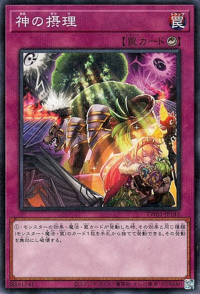 Amazon.co.jp: 遊戯王カード 神の摂理(ノーマルパラレル