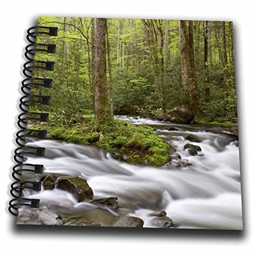 m[XJCiBX[L[}EeỸXg[gtH[NN[ÑXvO3dRose ~j 4x4