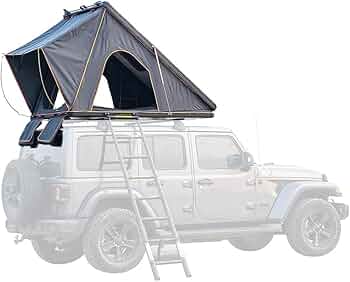 61oWp5pf1cL._AC_UF350,