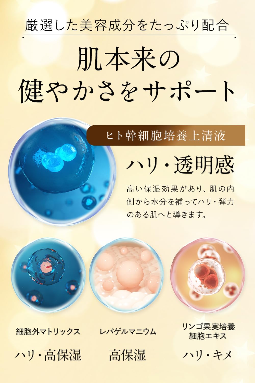 Amazon.co.jp: MONNALI (x1) : Beauty