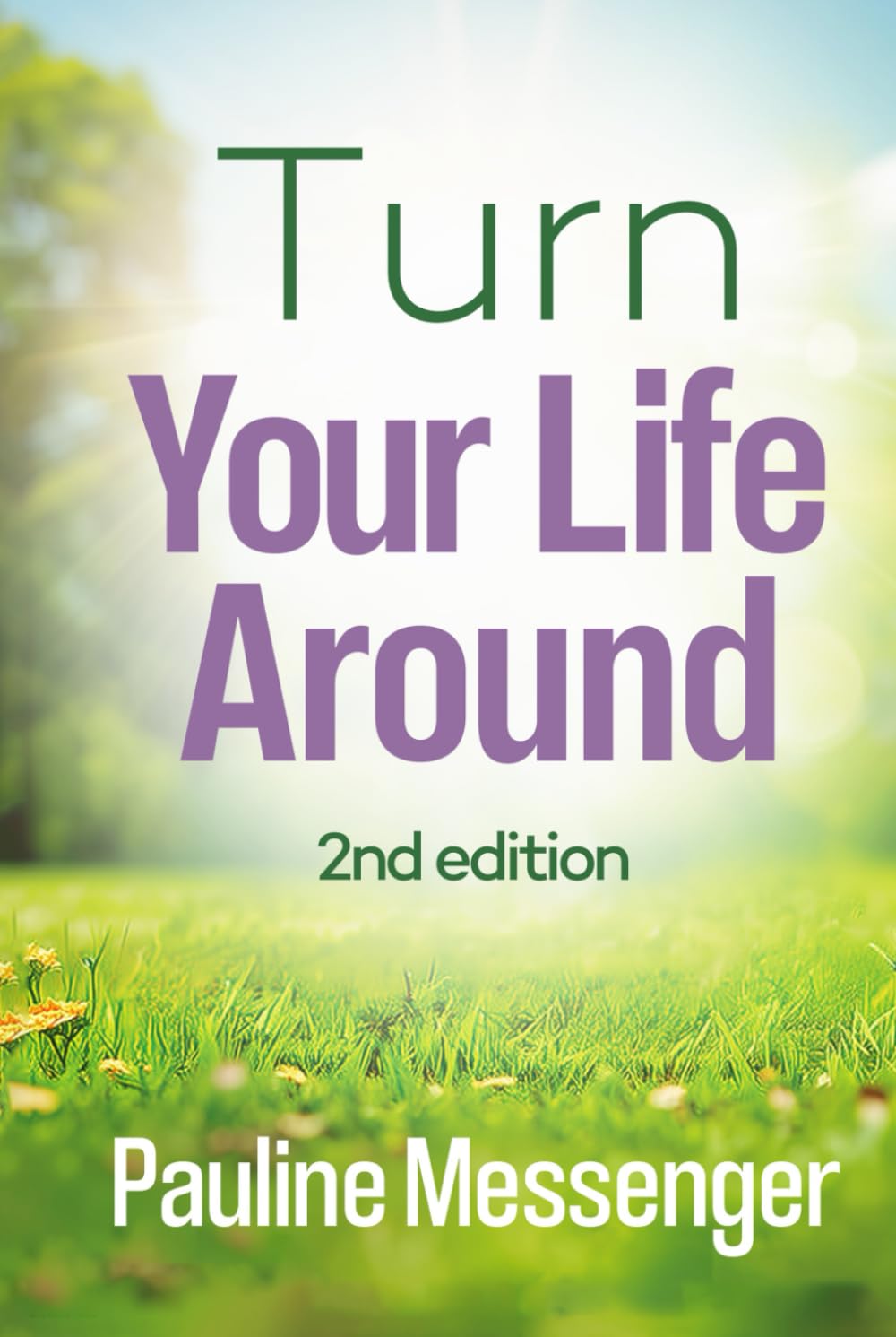 Turn Your Life Around: 2nd Edition