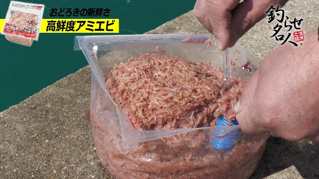 Amazon | 〈冷凍釣りエサ〉浜市［HAMAICHI］【コマセ】高鮮度国産