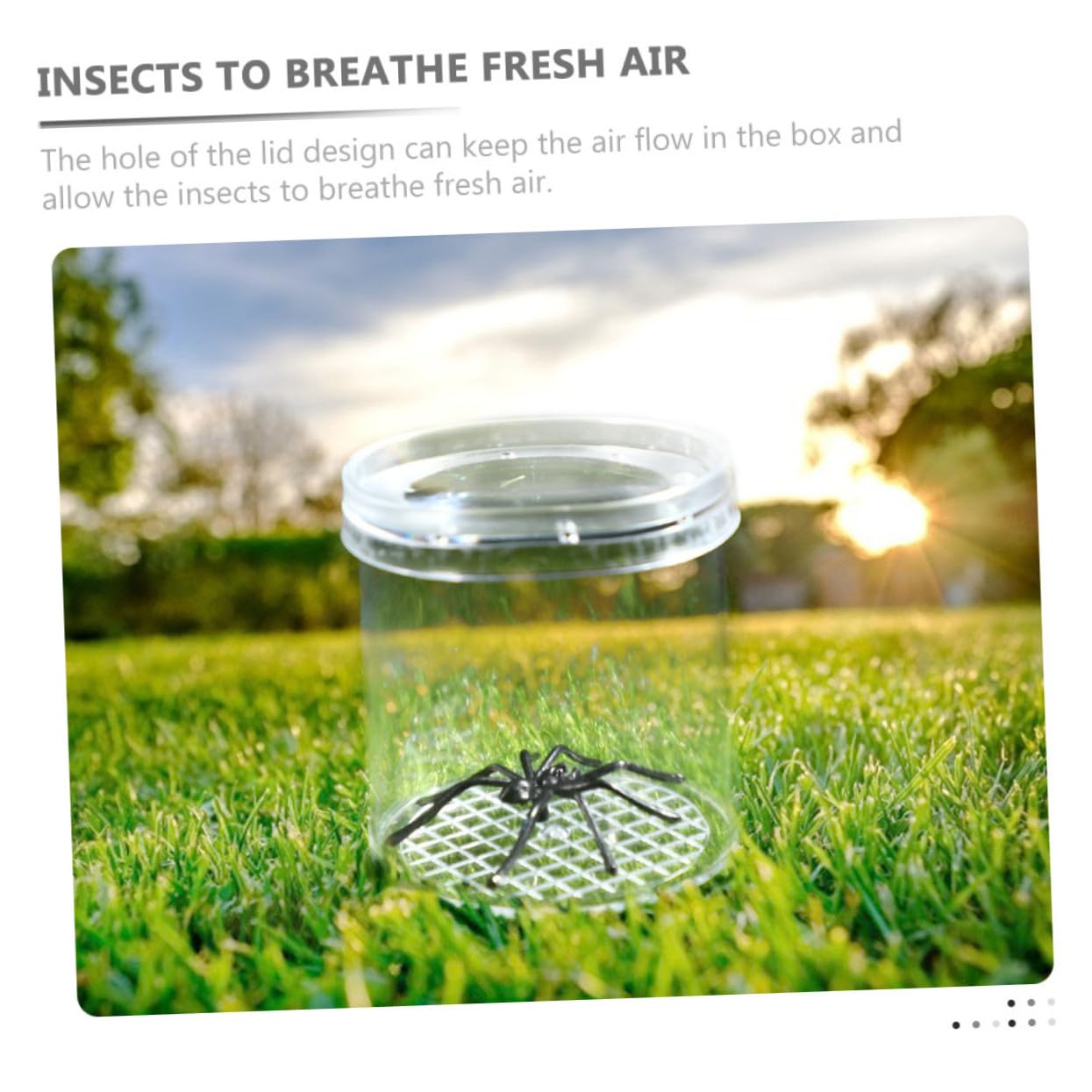 Cajas de Observación de Insectos 9 Piezas de Plástico | Alta Transparencia, Tapa Flujo de Aire, para Niños y Niñas, Mejora la Observación Imaginación