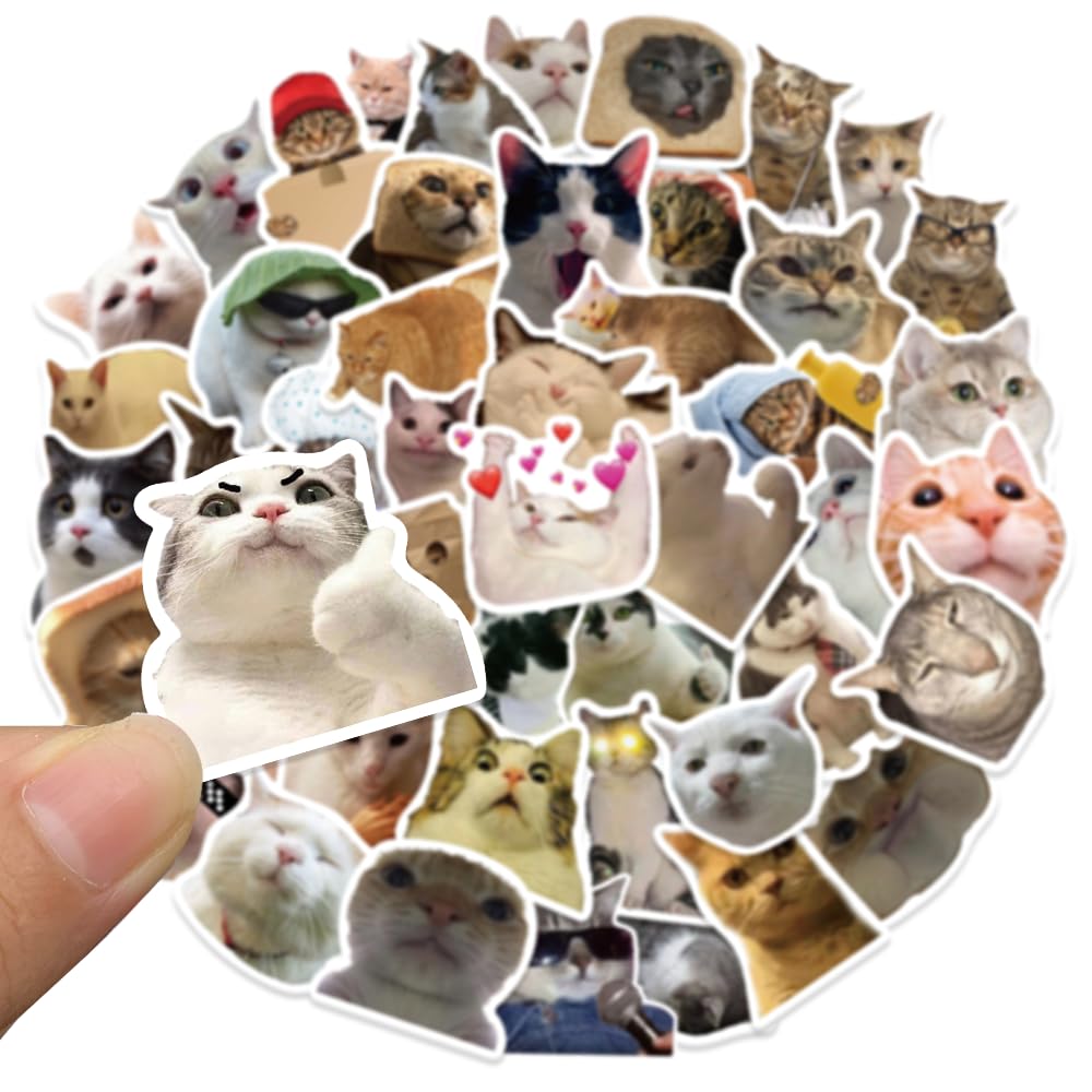 50 calcomanías de gato, divertidas calcomanías de gato de meme, calcomanías de gato kawaii para niños, adolescentes y adultos, calcomanías de vinilo impermeables para laptop, teléfono, botellas de
