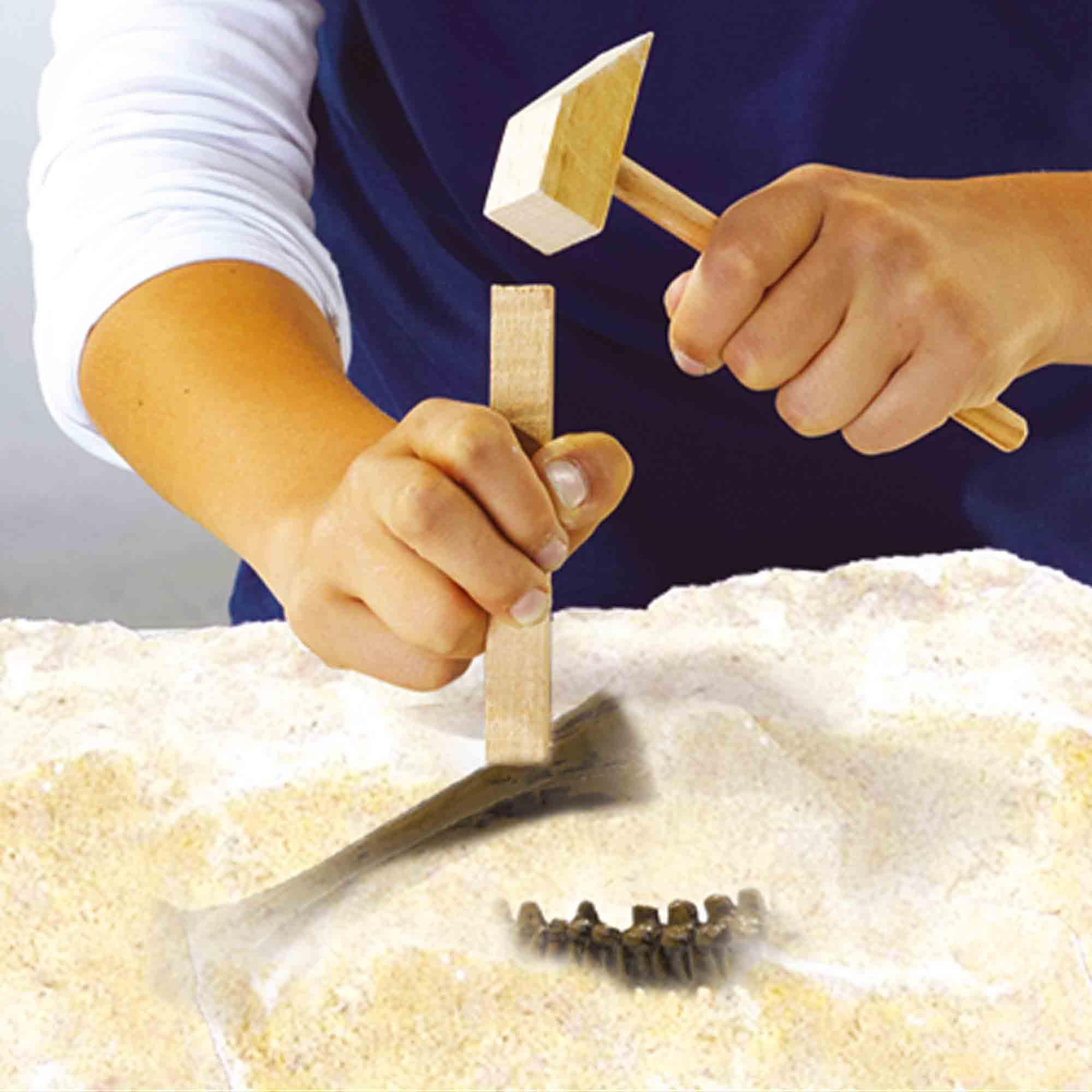 SES Creative 25092 2 in 1 Dinosaur and Skeleton Dig-T-rex, One Size, White With Glowing Parts - Image 3